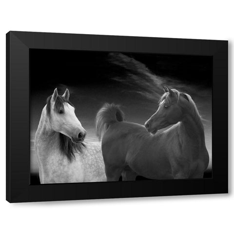 Shall we dance Black Modern Wood Framed Art Print with Double Matting by Llovet, Jorge