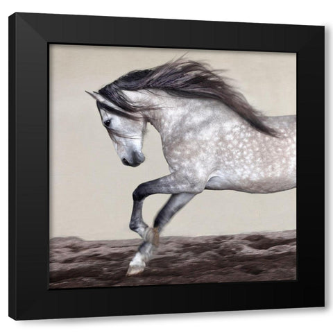 Perseverance Black Modern Wood Framed Art Print by Llovet, Jorge