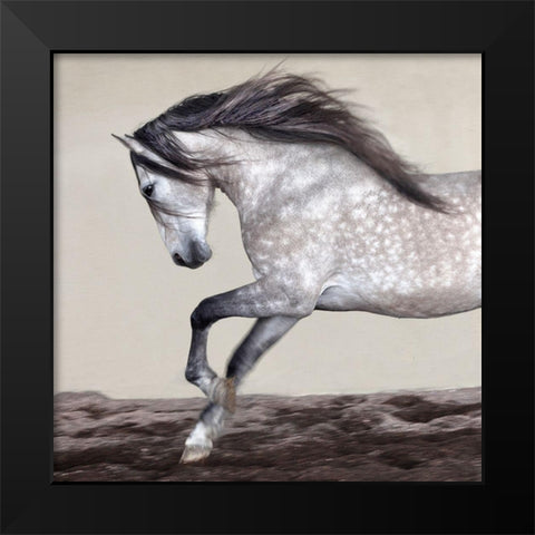 Perseverance Black Modern Wood Framed Art Print by Llovet, Jorge