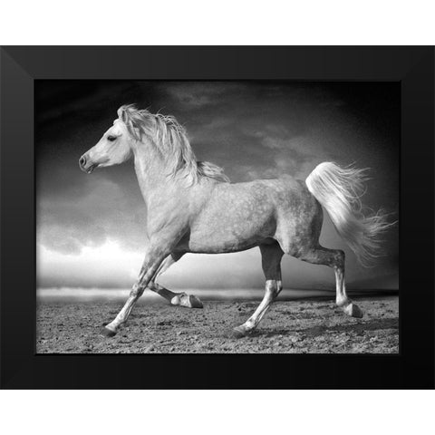 Walking along the Beach Black Modern Wood Framed Art Print by Llovet, Jorge