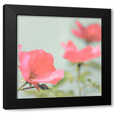 Botanical Romance Black Modern Wood Framed Art Print by Lambert, Tom
