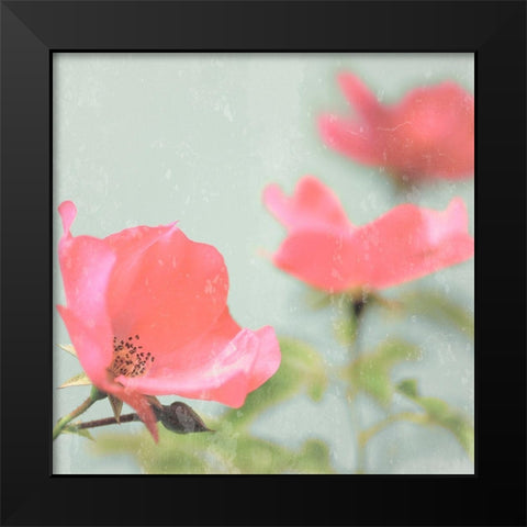 Botanical Romance Black Modern Wood Framed Art Print by Lambert, Tom