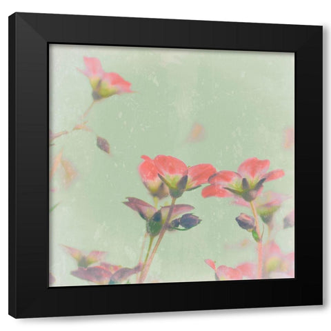 Romantic Meadow Black Modern Wood Framed Art Print with Double Matting by Lambert, Tom