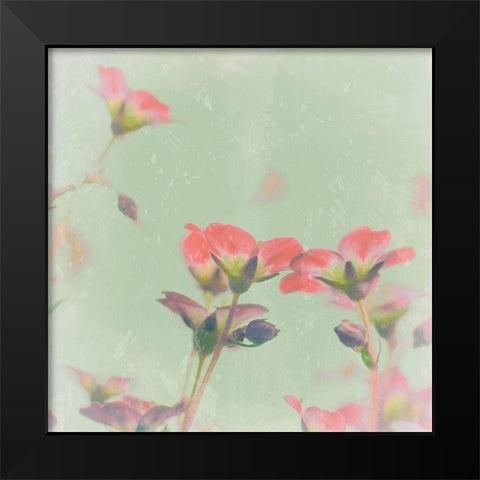 Romantic Meadow Black Modern Wood Framed Art Print by Lambert, Tom