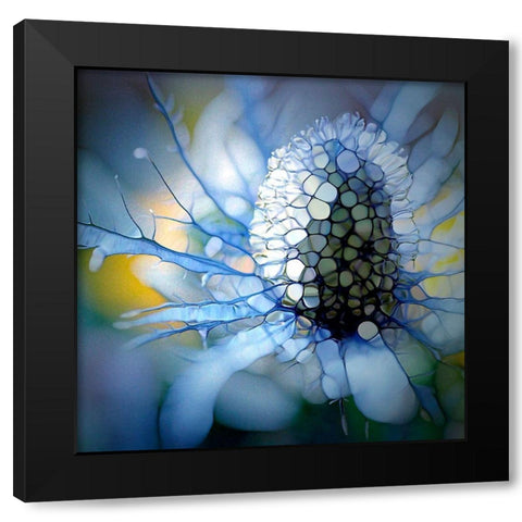Eisdistel Black Modern Wood Framed Art Print with Double Matting by Schmidt, Renate M.