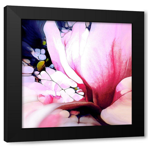 Magnolie Black Modern Wood Framed Art Print with Double Matting by Schmidt, Renate M.