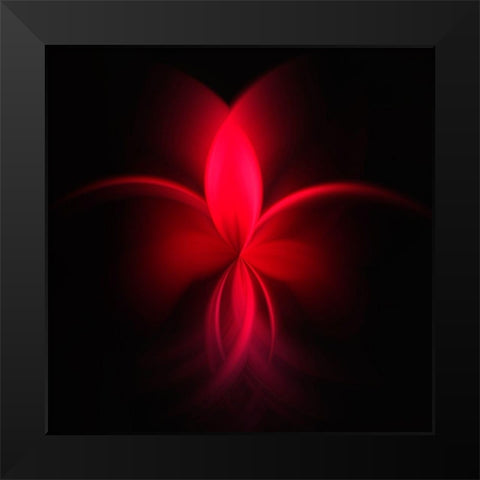 Fuchsie Black Modern Wood Framed Art Print by Schmidt, Renate M.
