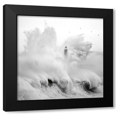 Birds in the Storm Black Modern Wood Framed Art Print with Double Matting by Cano, Marina