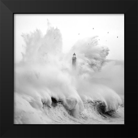 Birds in the Storm Black Modern Wood Framed Art Print by Cano, Marina