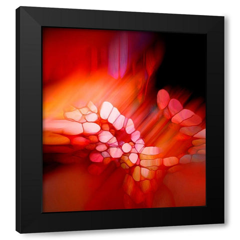 Expression in Rot Black Modern Wood Framed Art Print with Double Matting by Schmidt, Renate M.