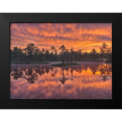 Dawn Black Modern Wood Framed Art Print by Strand, Hans