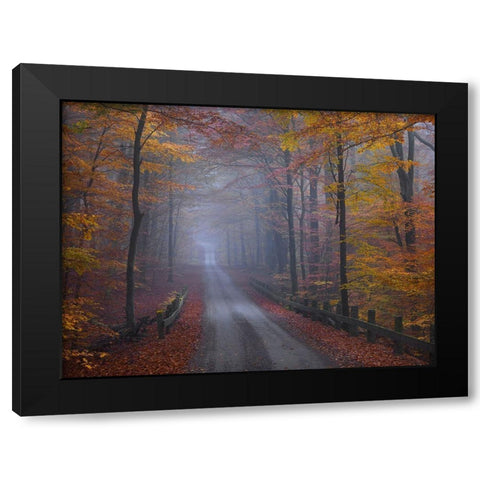 Misty Road Black Modern Wood Framed Art Print by Strand, Hans