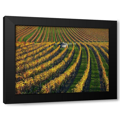 Veineyards of hautes cotes Burgundy Black Modern Wood Framed Art Print by Strand, Hans