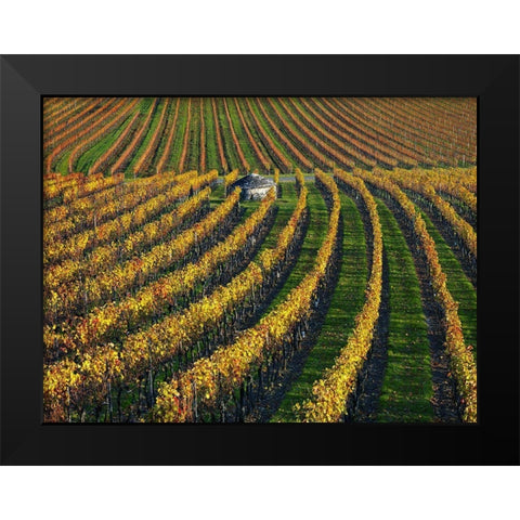 Veineyards of hautes cotes Burgundy Black Modern Wood Framed Art Print by Strand, Hans
