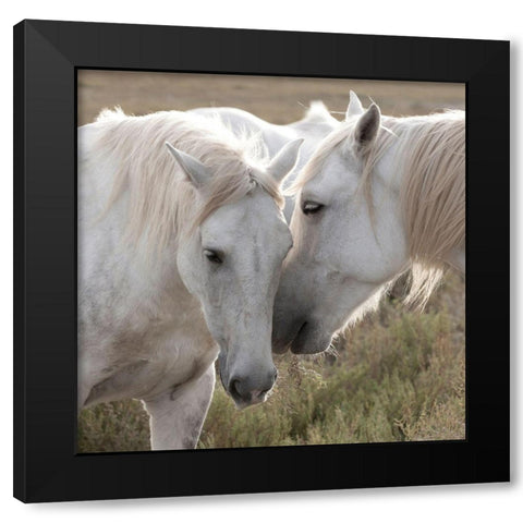 We have some Secrets Black Modern Wood Framed Art Print by Llovet, Jorge