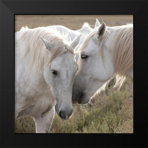 We have some Secrets Black Modern Wood Framed Art Print by Llovet, Jorge