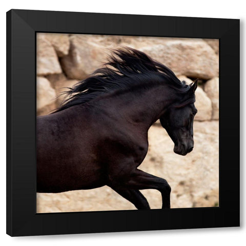 Black Power Black Modern Wood Framed Art Print by Llovet, Jorge