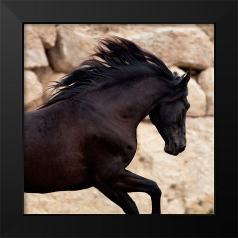 Black Power Black Modern Wood Framed Art Print by Llovet, Jorge