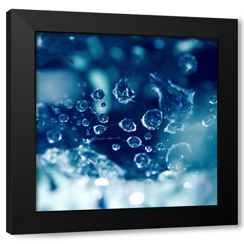 Little Worlds Black Modern Wood Framed Art Print with Double Matting by Seidel, Lily Andrea