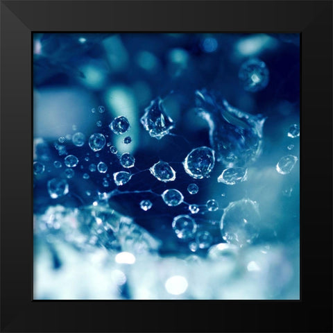 Little Worlds Black Modern Wood Framed Art Print by Seidel, Lily Andrea