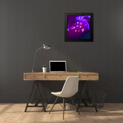 Lust Black Modern Wood Framed Art Print by Seidel, Lily Andrea