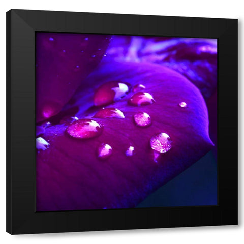 Lust Black Modern Wood Framed Art Print by Seidel, Lily Andrea