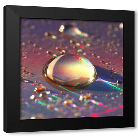 Spectrum Black Modern Wood Framed Art Print by Seidel, Lily Andrea