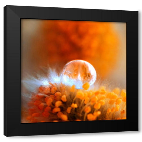 Eternal Flame Black Modern Wood Framed Art Print with Double Matting by Seidel, Lily Andrea