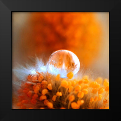 Eternal Flame Black Modern Wood Framed Art Print by Seidel, Lily Andrea