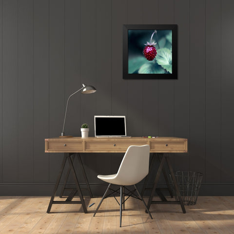 Taste of Summer Black Modern Wood Framed Art Print by Seidel, Lily Andrea