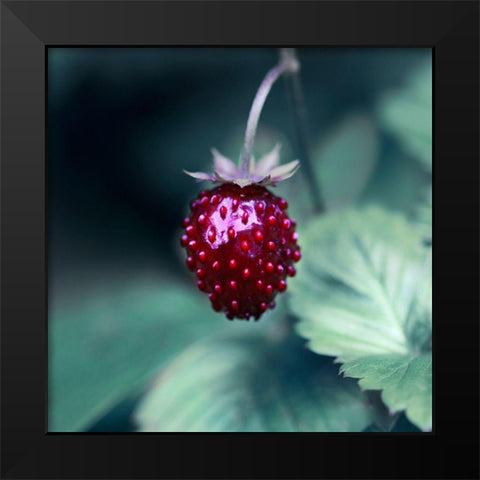 Taste of Summer Black Modern Wood Framed Art Print by Seidel, Lily Andrea