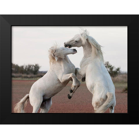 Male CompetitionÂ  Black Modern Wood Framed Art Print by Llovet, Jorge