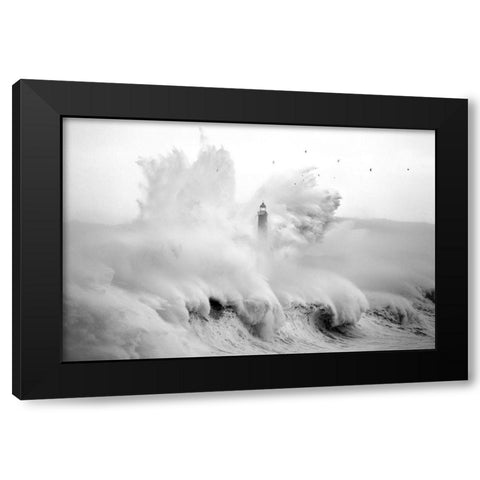 Birds in the Storm Black Modern Wood Framed Art Print by Cano, Marina