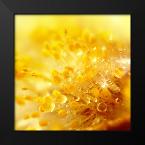 Break Through Black Modern Wood Framed Art Print by Seidel, Lily Andrea