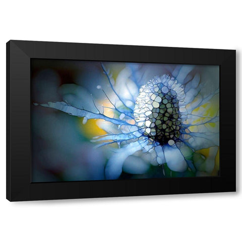 Eisdistel Black Modern Wood Framed Art Print with Double Matting by Schmidt, Renate M.
