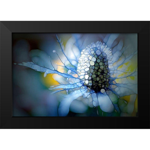 Eisdistel Black Modern Wood Framed Art Print by Schmidt, Renate M.