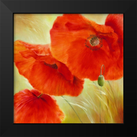 Drei Mal Mohn Black Modern Wood Framed Art Print by Schmucker, Annette