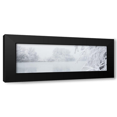 Winterlandschaft I Black Modern Wood Framed Art Print by Hillert, Peter