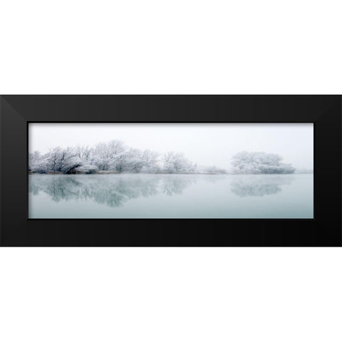 Winterlandschaft III Black Modern Wood Framed Art Print by Hillert, Peter