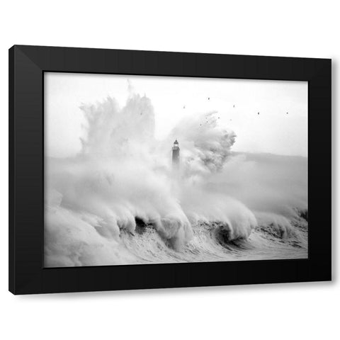 Birds in the Storm Black Modern Wood Framed Art Print by Cano, Marina