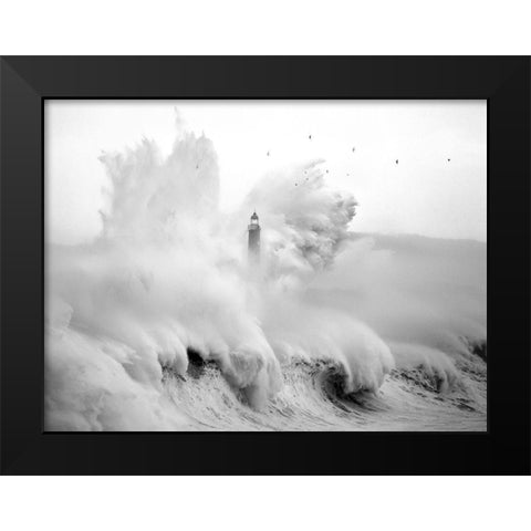 Birds in the Storm Black Modern Wood Framed Art Print by Cano, Marina