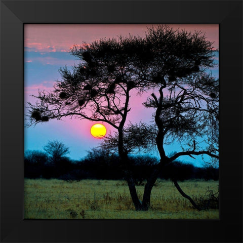 End of the Day Black Modern Wood Framed Art Print by Brommelhorster, Ulf