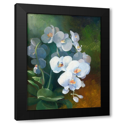 Phalaenopsis blanc Black Modern Wood Framed Art Print by Vernageau, Sylvie