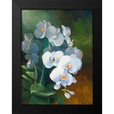 Phalaenopsis blanc Black Modern Wood Framed Art Print by Vernageau, Sylvie