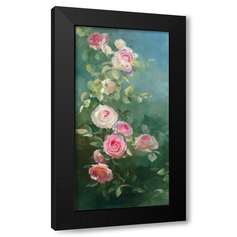 Rosier Pierre de Ronsard Black Modern Wood Framed Art Print with Double Matting by Vernageau, Sylvie