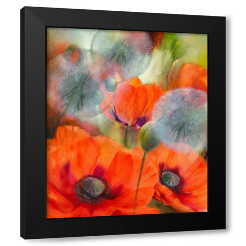 Mohn und Pustelblumen Black Modern Wood Framed Art Print by Schmucker, Annette