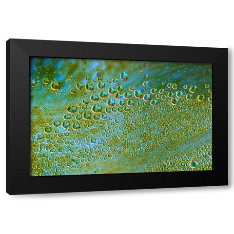 The Green Hornets Black Modern Wood Framed Art Print by NUPHO