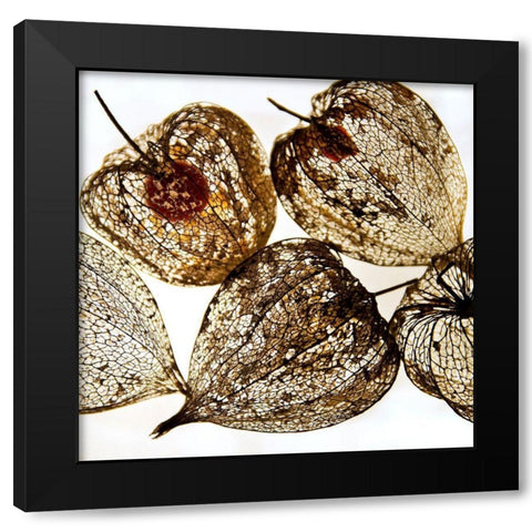 Evanescence III Black Modern Wood Framed Art Print by Weber, Matthias