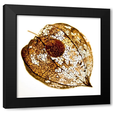 Evanescence IV Black Modern Wood Framed Art Print with Double Matting by Weber, Matthias