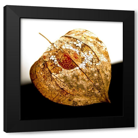 Evanescence V Black Modern Wood Framed Art Print by Weber, Matthias